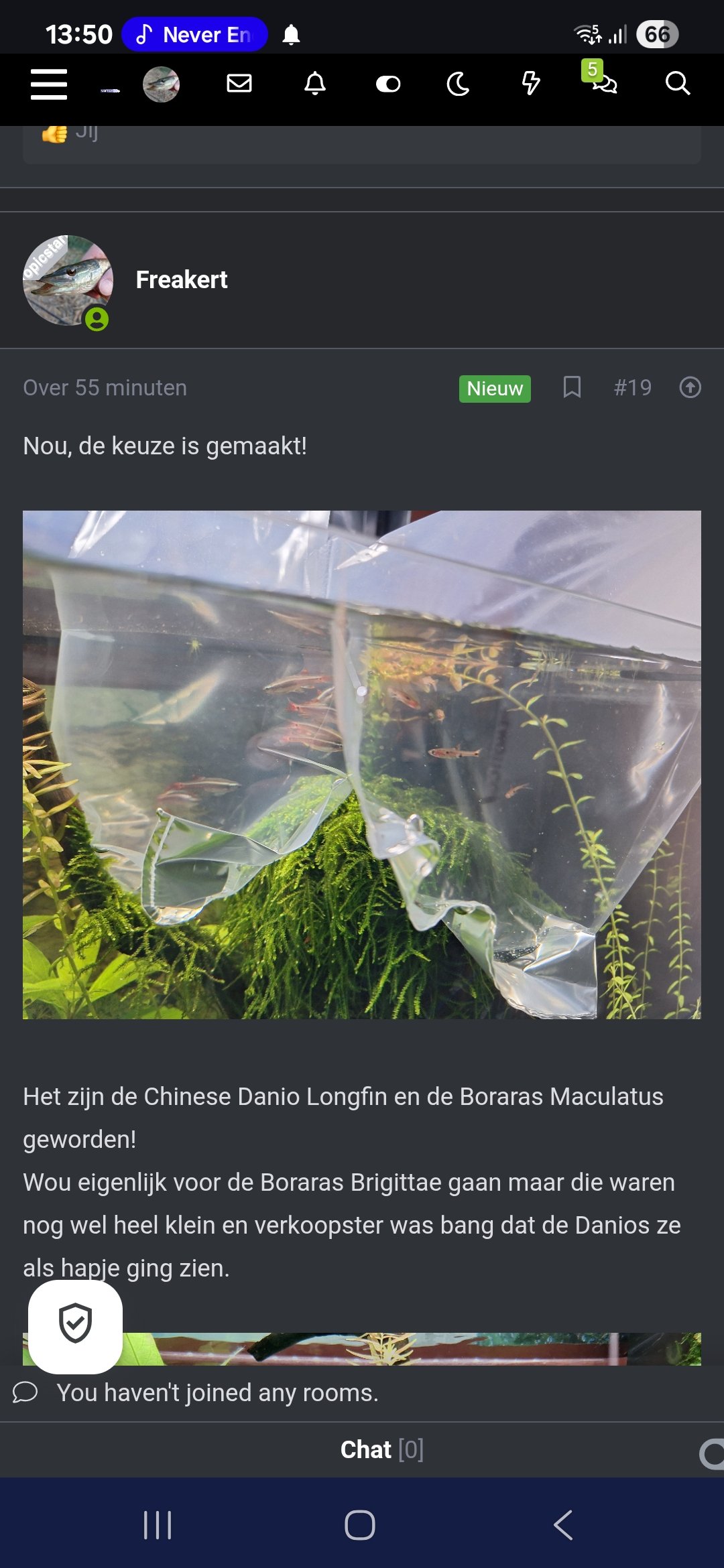 Screenshot_20250622_135005_Chrome.jpg