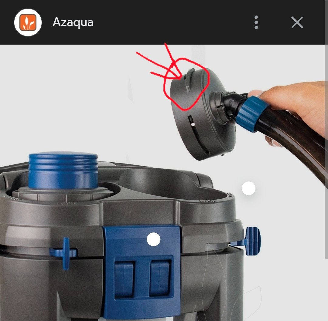 Screenshot_20250924_213640_Chrome.jpg