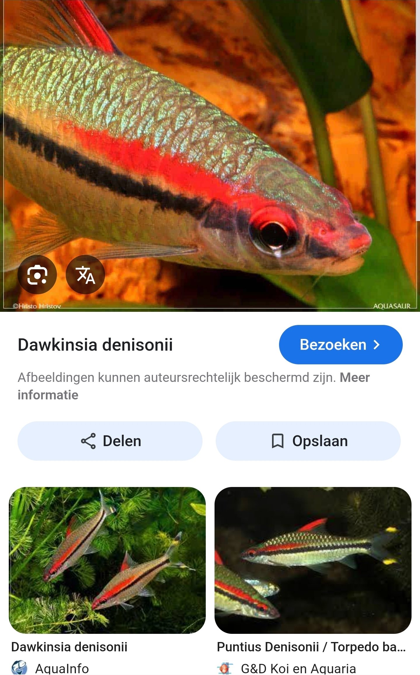 Screenshot_20260120_181701_Samsung Internet.jpg