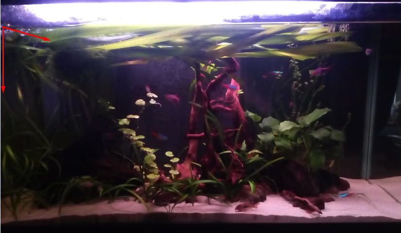 Screenshot_4.png