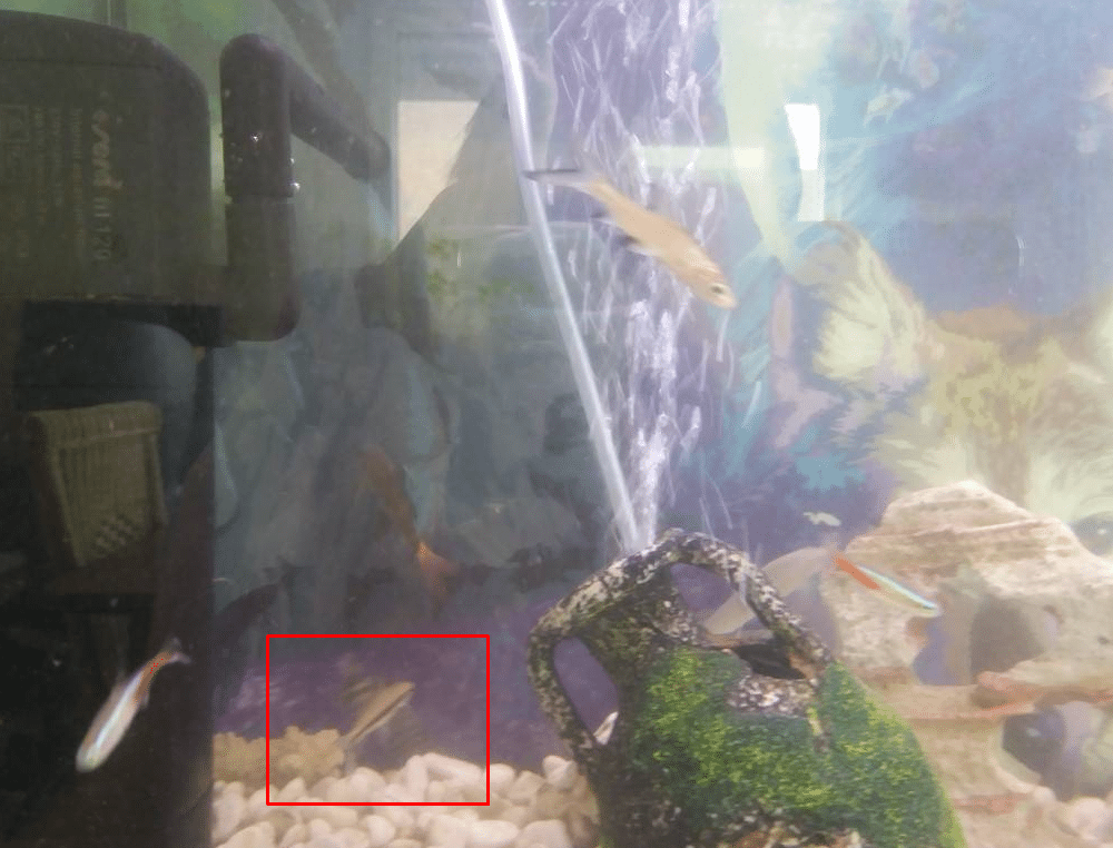 Screenshot_7.png