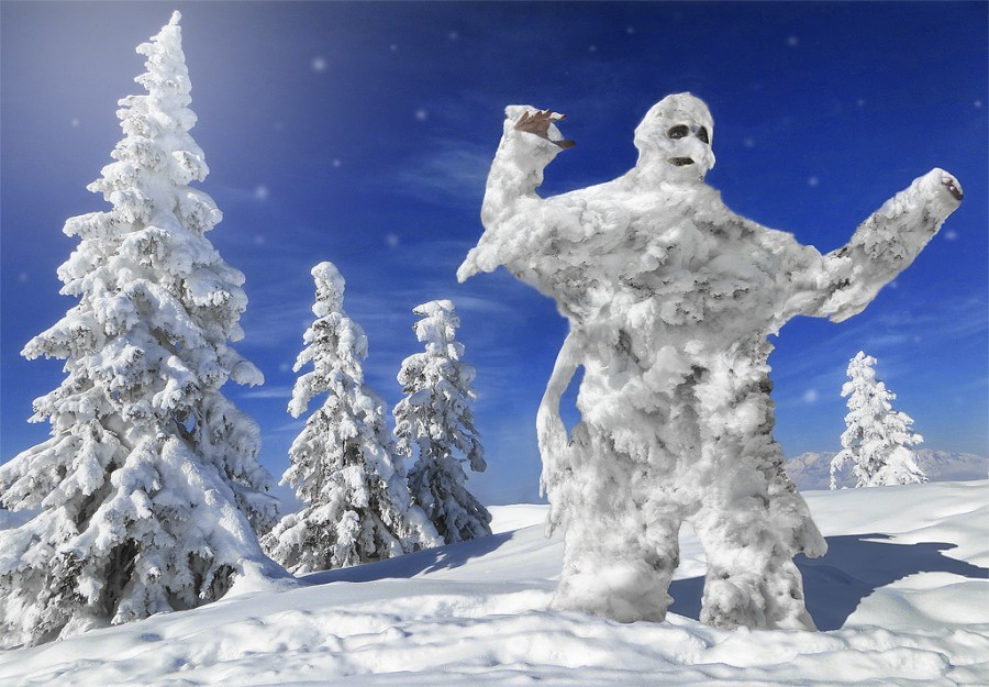 Snowman-900x625.jpg