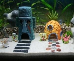 spongebob-aquarium-set.jpg