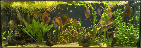 SS__2395 AHDR_bewerkt_0910.jpg