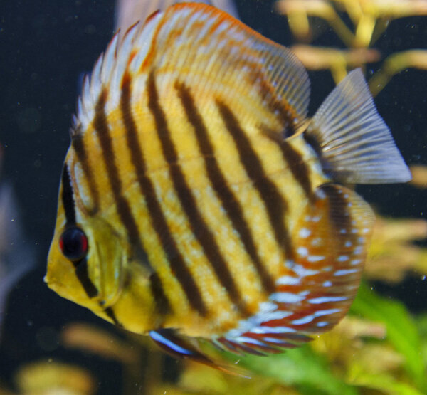 SS__5438_bewerkt_0087.jpg
