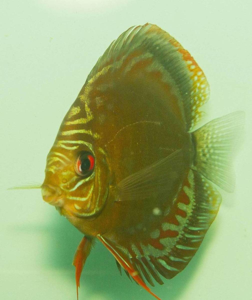 SS__6325_bewerkt_0078.jpg