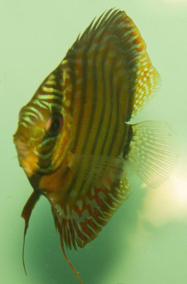 SS__6332_bewerkt_0085.jpg