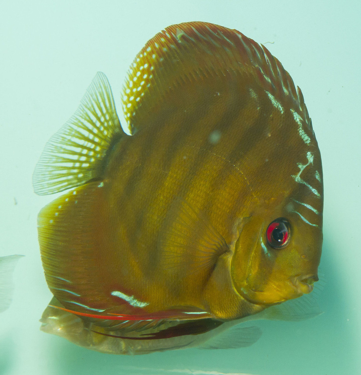 SS__6475_bewerkt_0256.jpg