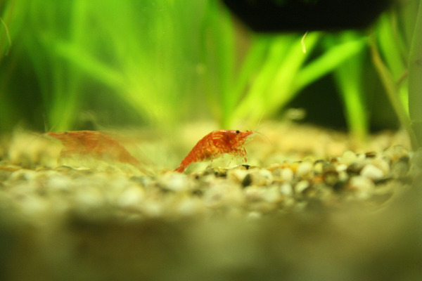 SU9MeXxsphmzVbkd3Haqsnhe7R8Tt63N.jpeg SU9MeXxsphmzVbkd3Haqsnhe7R8Tt63N.jpeg