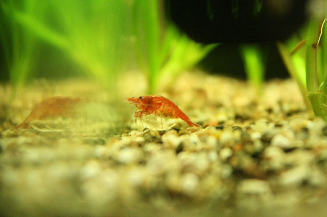 SU9MeXxsphmzVbkd3Haqsnhe7R8Tt63N.jpeg SU9MeXxsphmzVbkd3Haqsnhe7R8Tt63N.jpeg