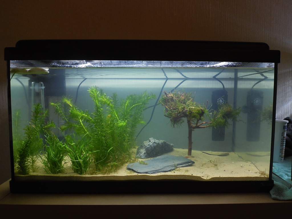 tank7.jpg