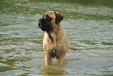 thumbnail_DSC_7193.jpg