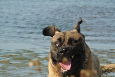 thumbnail_DSC_7315.jpg