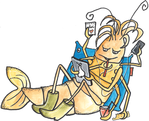 tmp_31171-garnaal_chillen_vrij2131238986.png
