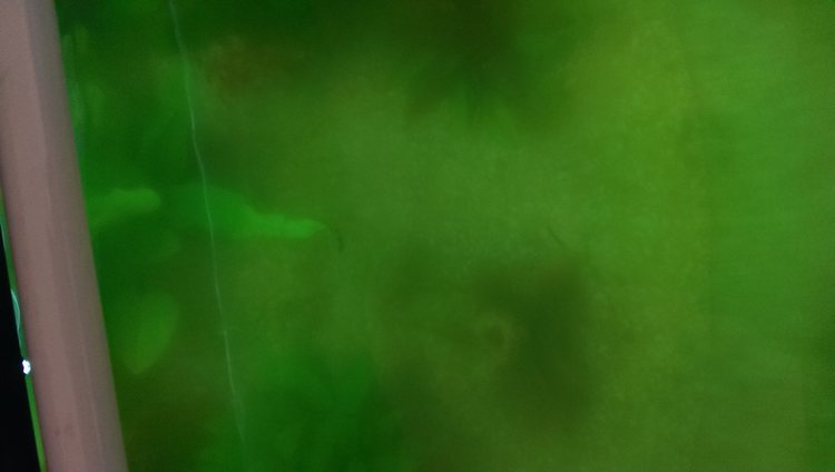 tn_imag0173.jpg
