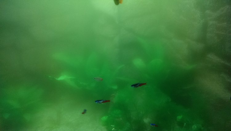 tn_imag0177.jpg