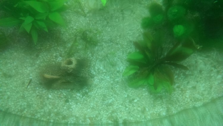 tn_imag0178.jpg