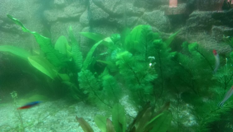 tn_imag0179.jpg