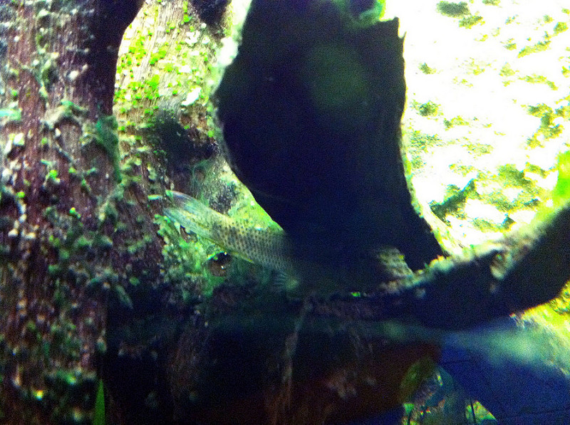 unzZ2uHdxGynJMoZwh1at3QJ2c2UyC1e.jpeg unzZ2uHdxGynJMoZwh1at3QJ2c2UyC1e.jpeg