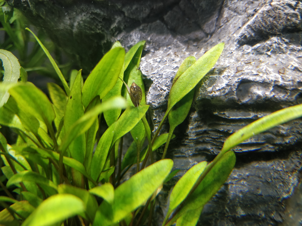 upload_2018-4-18_20-56-53.png