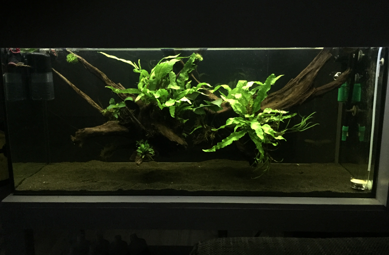 upload_2018-7-26_21-53-45.png