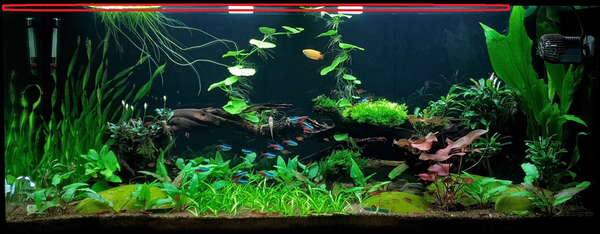 upload_2019-1-19_13-39-49.png
