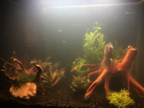 upload_2019-2-23_18-9-16.png