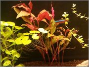 uqBk990iqRHVmV0q0EFB29T9Tpw_oVoP.jpeg uqBk990iqRHVmV0q0EFB29T9Tpw_oVoP.jpeg