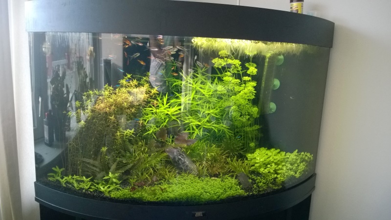 vdinteren_wp_20150107_14_54_03_pro_sized.jpg