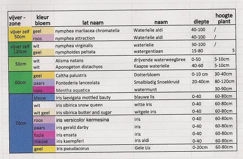 vijverplanten.jpg