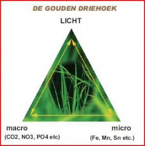 voedingsdriehoek-298x300.jpg