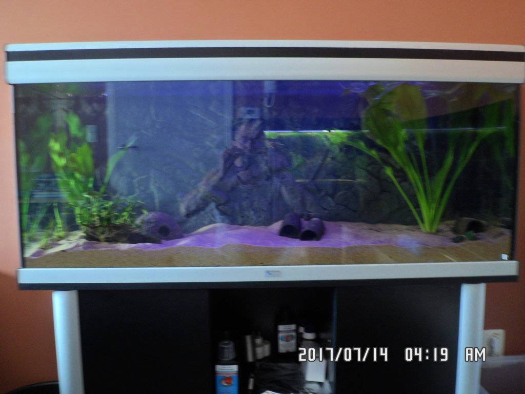 Volautomatsch licht systeem Aquatlantis 014.JPG