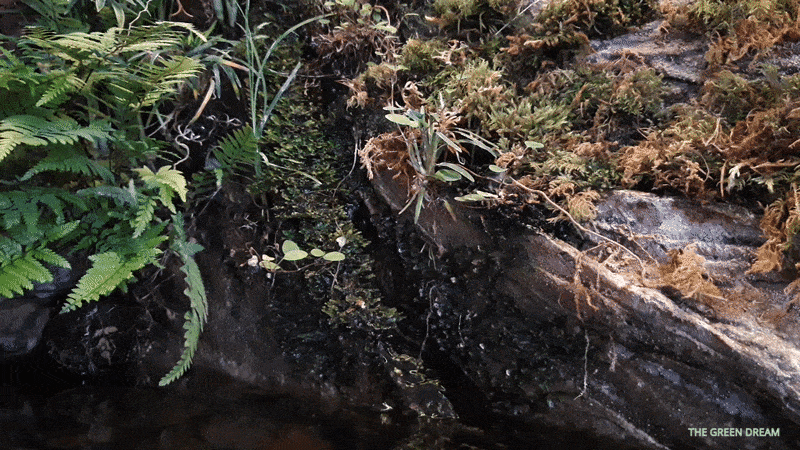 waterval.gif