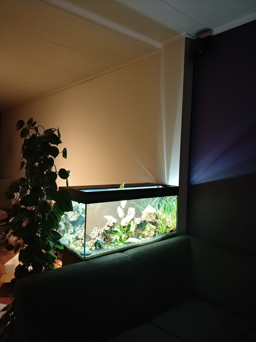 Webp.net-resizeimage-4.jpg
