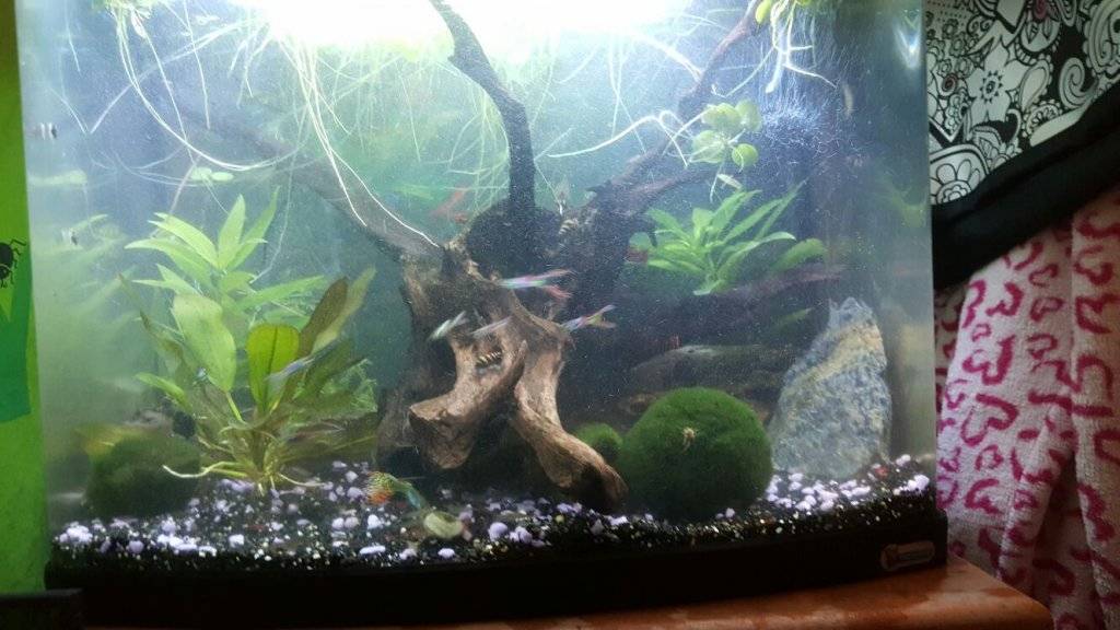 WhatsApp Image 2017-04-08 at 15.57.49.jpeg