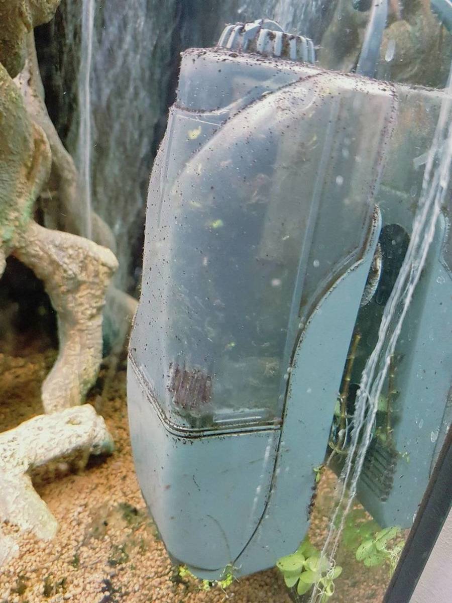 WhatsApp Image 2017-08-02 at 19.00.34(4).jpeg