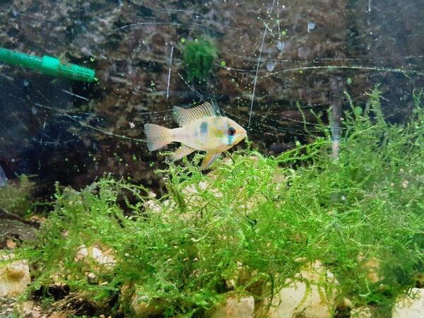 WhatsApp Image 2017-08-02 at 19.00.35(1).jpeg