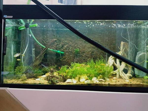 WhatsApp Image 2017-08-02 at 19.00.35.jpeg