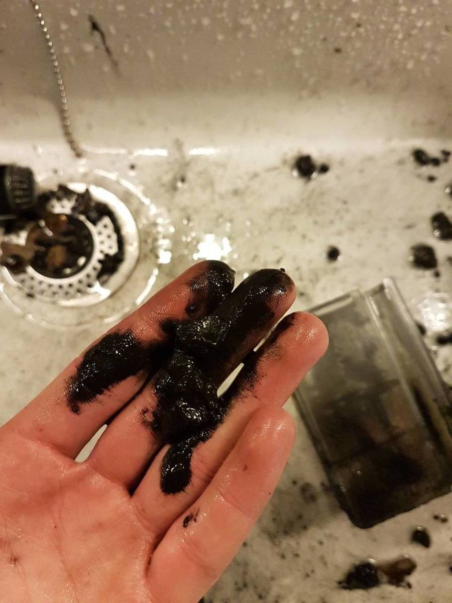 WhatsApp Image 2017-08-04 at 20.13.38.jpeg