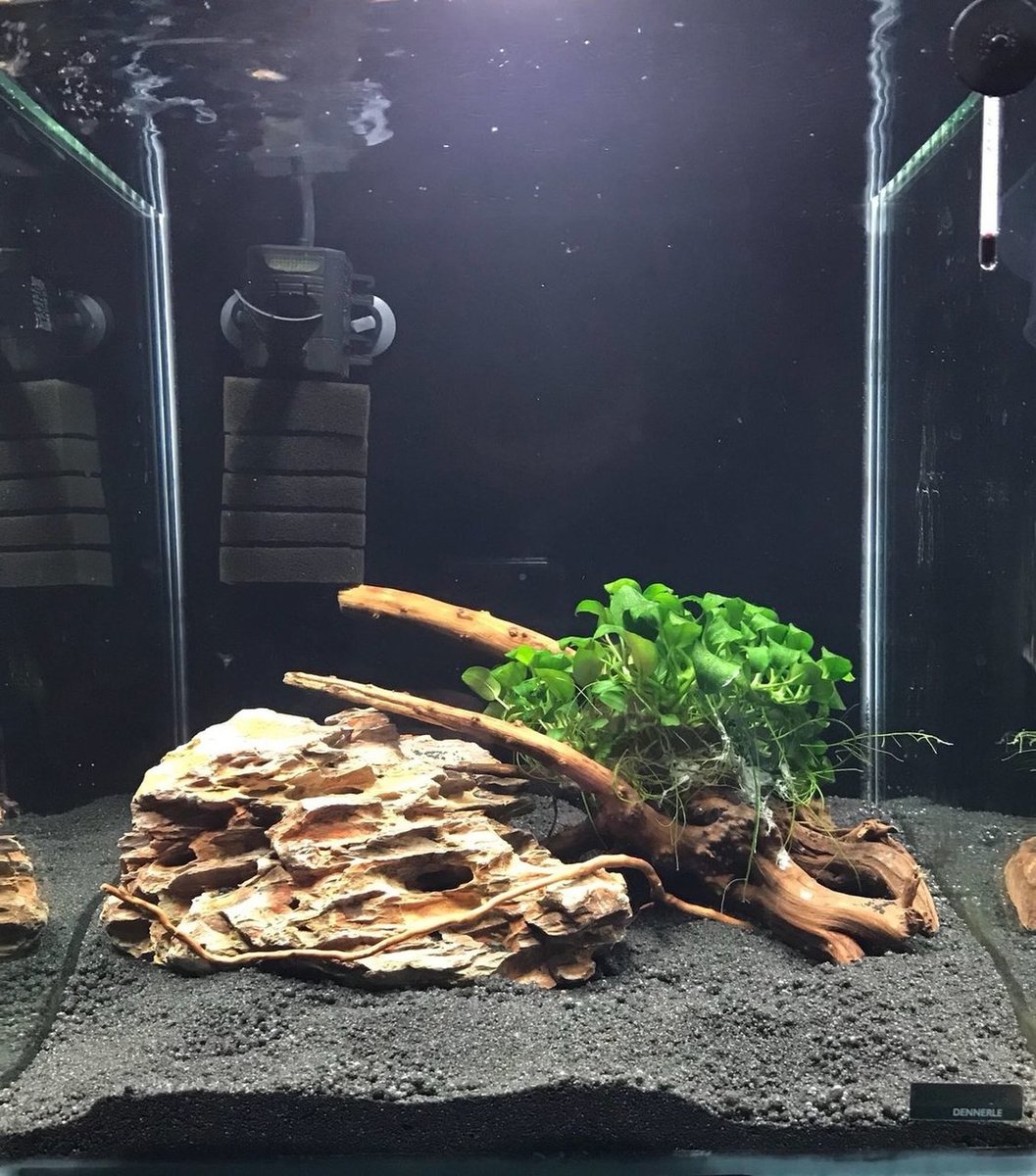 WhatsApp Image 2018-01-16 at 21.53.12.jpeg