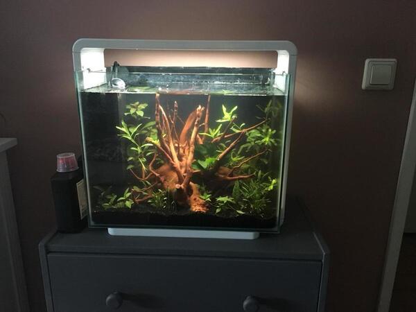 WhatsApp Image 2018-10-07 at 11.24.04.jpeg