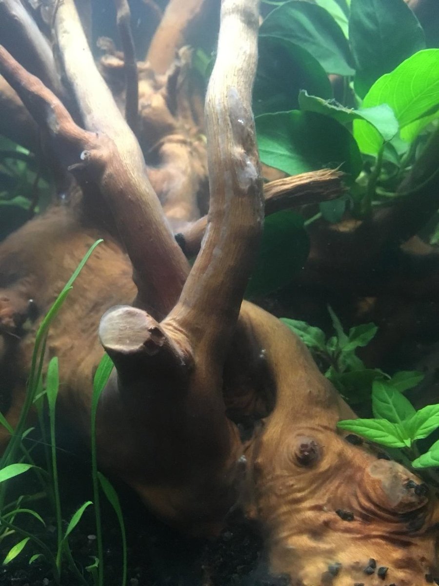 WhatsApp Image 2018-10-07 at 11.24.05.jpeg