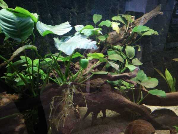 WhatsApp Image 2018-10-18 at 16.46.50.jpeg