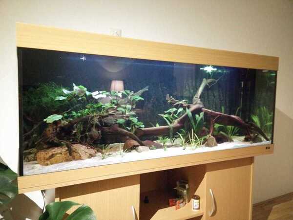 WhatsApp Image 2018-10-19 at 08.01.00.jpeg