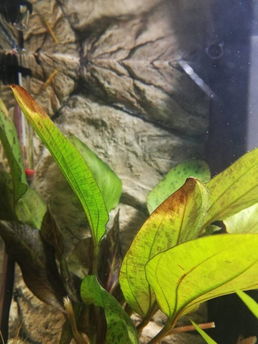 WhatsApp Image 2019-12-15 at 22.53.25.jpeg