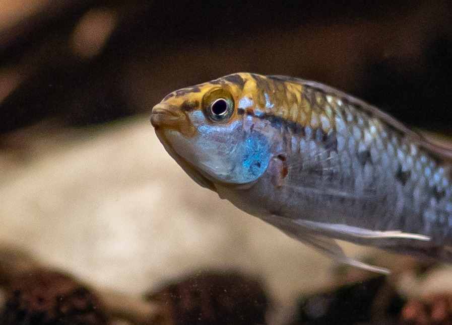 WhatsApp Image 2020-01-26 at 10.01.50 (4).jpeg