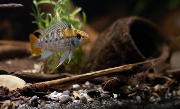 WhatsApp Image 2020-01-26 at 10.01.50 (6).jpeg