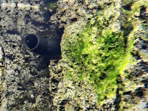 WhatsApp Image 2020-02-12 at 19.55.32 (1).jpeg