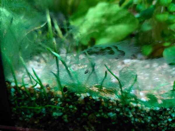 WhatsApp Image 2020-02-12 at 19.55.32 (3).jpeg