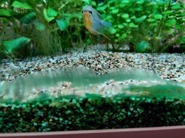 WhatsApp Image 2020-02-12 at 19.55.32 (4).jpeg